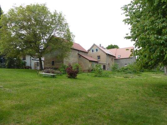 Blick aus dem Garten 