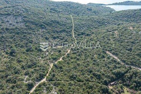 Orebic Bauernhöfe, Landwirtschaft, Orebic Forstwirtschaft