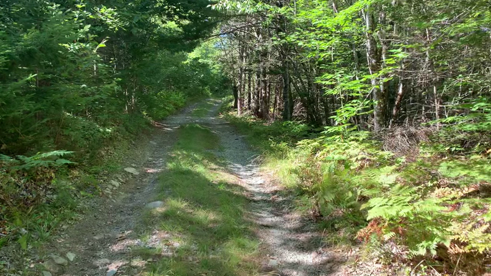 Silver Bullet Blvd. :)