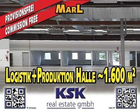 Marl Halle, Marl Hallenfläche