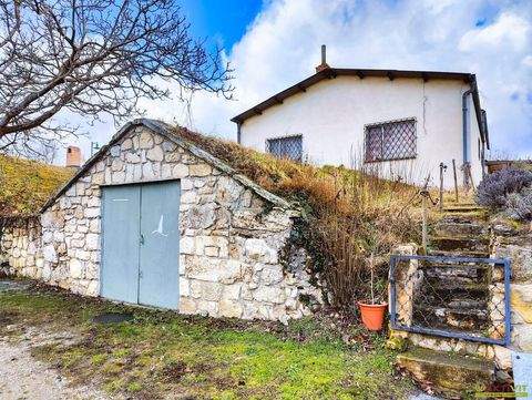 Purbach am Neusiedler See Häuser, Purbach am Neusiedler See Haus kaufen