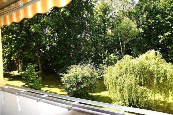 Garten-alter Baumbestand