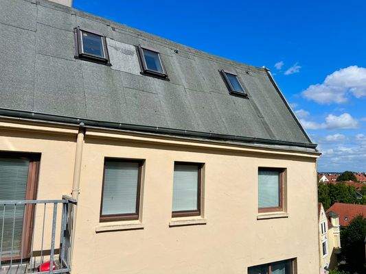 Aussaenansicht Rückseite