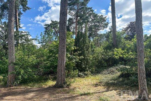 Blick auf das Grundstück