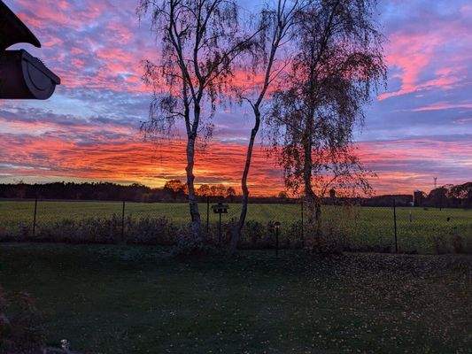 Blick aus dem Wohnzimmer