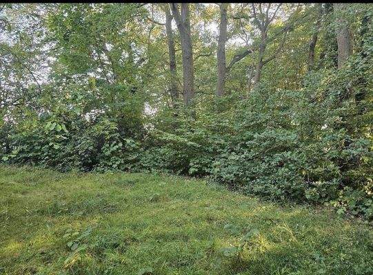 Blick auf das Grundstück 