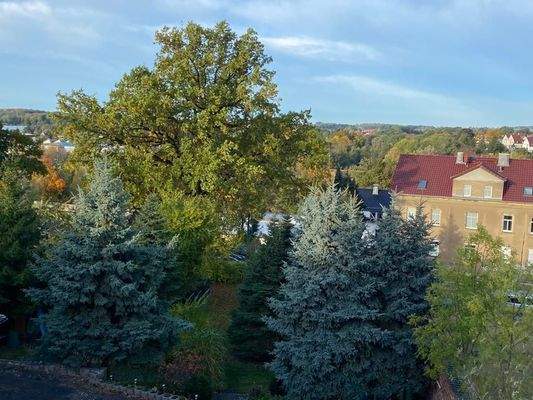 07. Ausblick Hinterhof.jpg