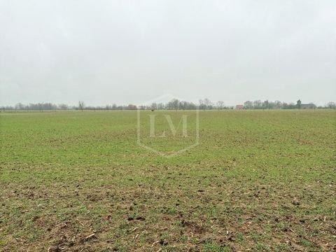 Xanten Bauernhöfe, Landwirtschaft, Xanten Forstwirtschaft