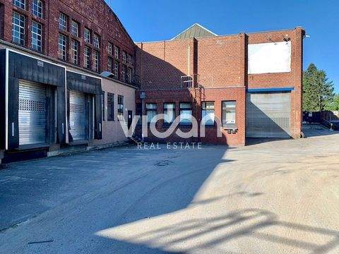 Eschweiler Halle, Eschweiler Hallenfläche