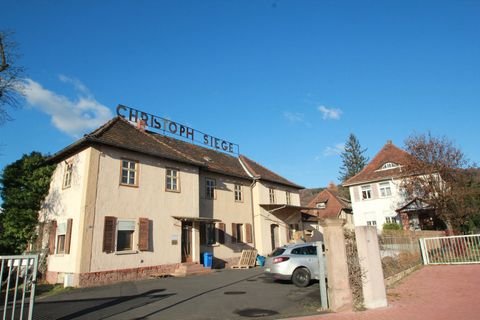 Gelnhausen Halle, Gelnhausen Hallenfläche