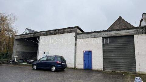 Budenheim Halle, Budenheim Hallenfläche