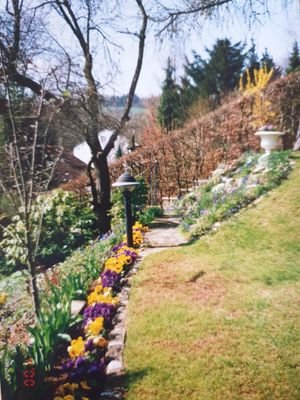 Bild 15