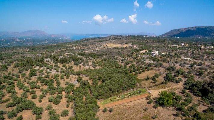 Kreta, Kefalas: NEUBAU! Gemütliche Villa unter den Olivenbäumen zu verkaufen