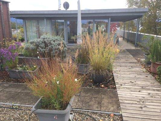 Dachterrasse gemeinschaftlich nutzbar