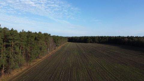 Soltau Bauernhöfe, Landwirtschaft, Soltau Forstwirtschaft