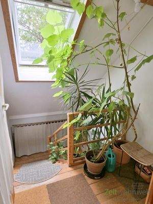 Blick in den Treppenaufgang