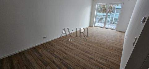 Bamberg Wohnungen, Bamberg Wohnung mieten