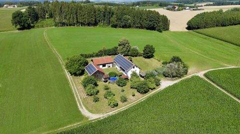 Massing Häuser, Massing Haus kaufen