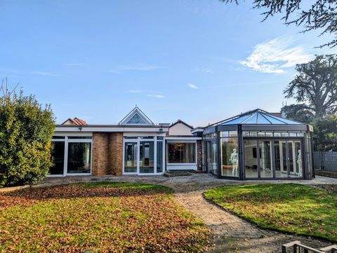 Haßloch Häuser, Haßloch Haus kaufen