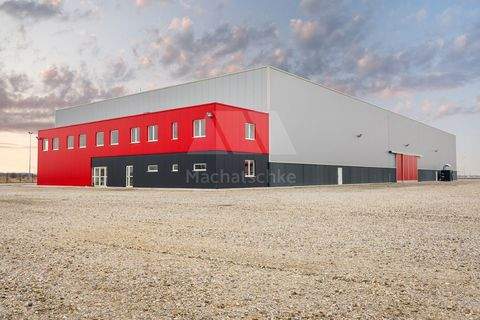 Bamberg Halle, Bamberg Hallenfläche