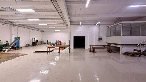 Lorch Halle, Lorch Hallenfläche