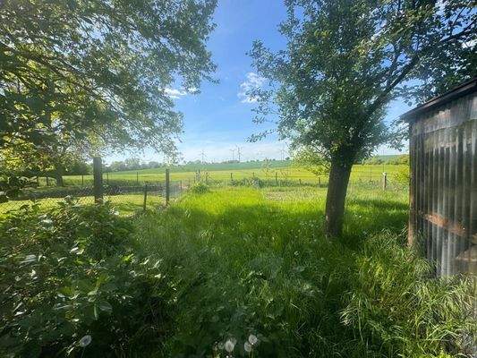 WhatsApp Image 2025-08-03 at 22.59.32 (2)