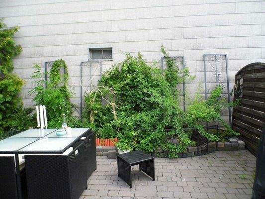 Foto EFH Euskirchen Terrasse, Kleingarten