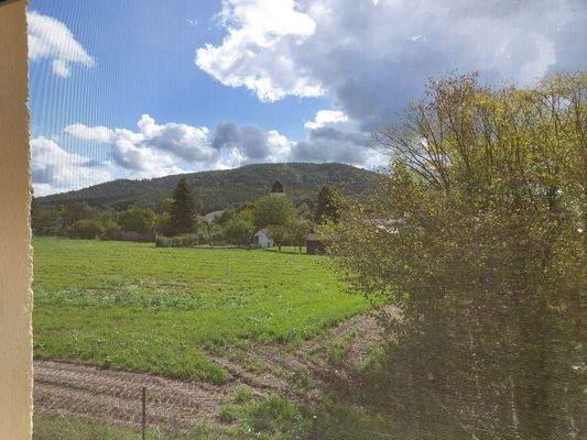 PHOTO-2025-09-17-18-27-34 2.jpg