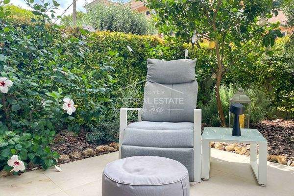 Gemütliche Sitzecke mit Zitronenbaum