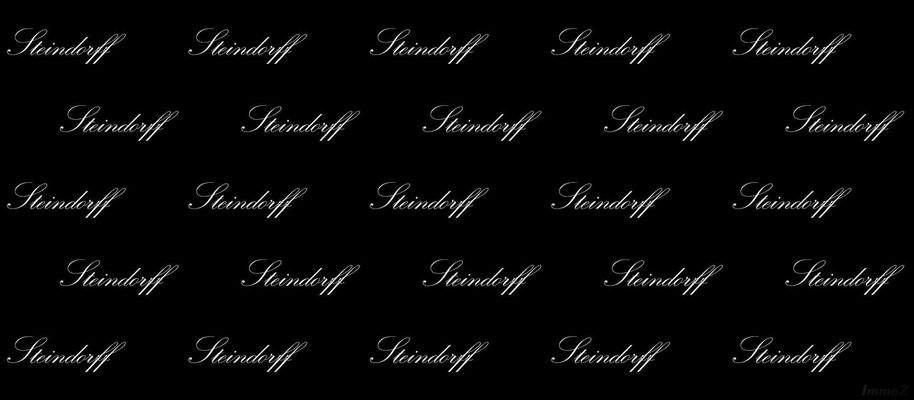 Steindorff-Platzhalter-kleine-Schrift(1)