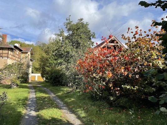 Weg zur Villa mit Garagen