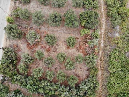 Kreta, Almyrida: Grundstück mit Baurechten und Meerblick zu verkaufen