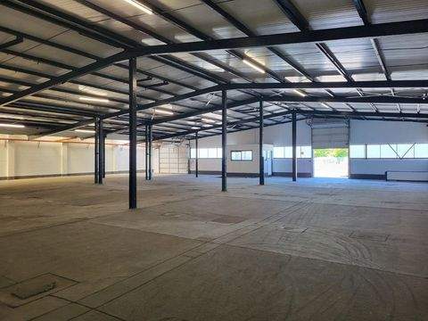 Schleswig Halle, Schleswig Hallenfläche