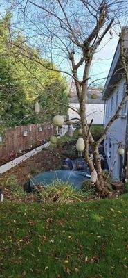 Garten zu Souterrain 