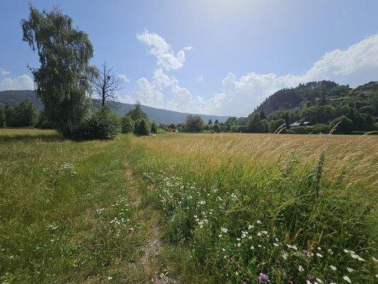 weiter Bereich für die örtliche Entwicklung