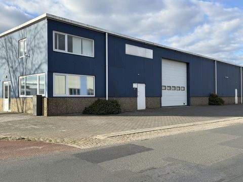 Bad Bentheim Halle, Bad Bentheim Hallenfläche