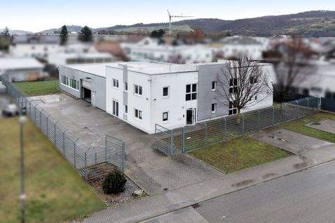 Laudenbach Halle, Laudenbach Hallenfläche