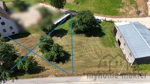 Weigendorf Halle, Weigendorf Hallenfläche