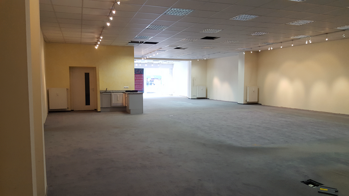 Hauptfläche / Gastraum