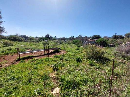 WhatsApp Image 2024-03-12 at 14.15.51_97a4cb84.jpg