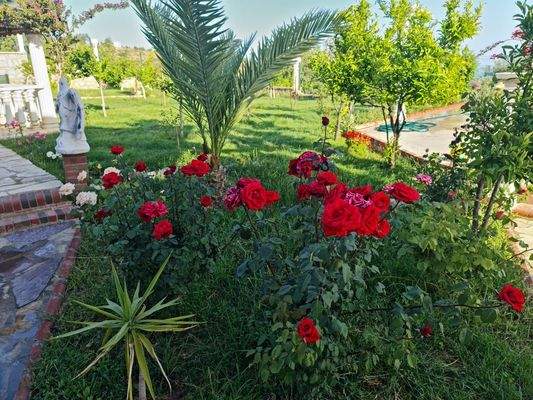 WhatsApp Image 2023-06-15 at 12.01.34 (3).jpeg