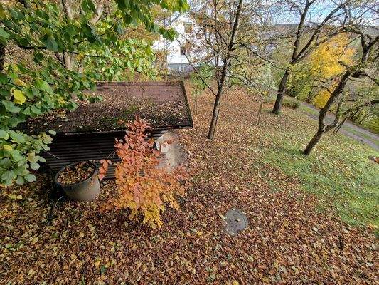 Blick auf Grundstück Südost-Seite.jpg