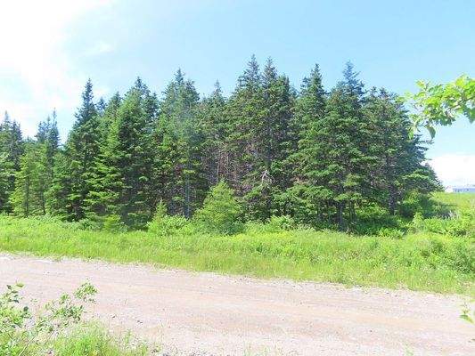 Cape Breton - Preiswertes 8,9 Hektar-Grundstück in