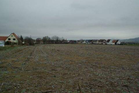 Bad Staffelstein Grundstücke, Bad Staffelstein Grundstück kaufen