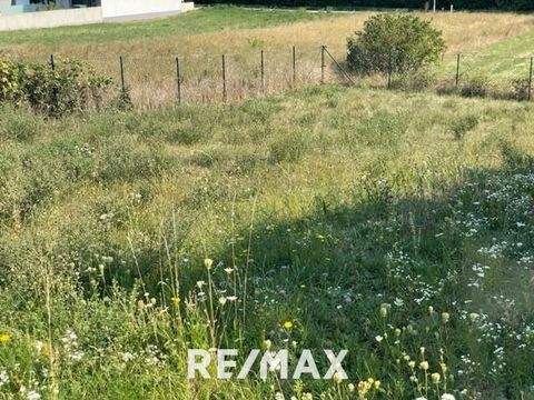 Neusiedl am See Grundstücke, Neusiedl am See Grundstück kaufen