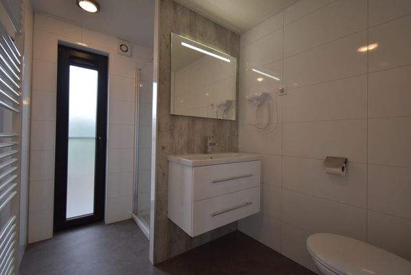 ferienhaus-kaufen-herkingen-ensuite-badezimmer-dusche-2025.webp007