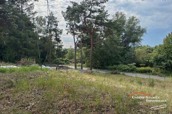 Blick übers Eichwerder