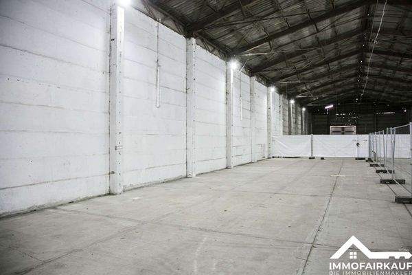 Blick linke Seitenfläche