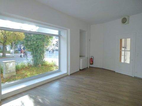 Salzburg Ladenlokale, Ladenflächen 