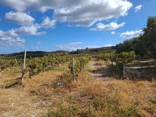 Kreta, Elliniko: Grundstück mit Meerblick und hohen Baurechten zu verkaufen